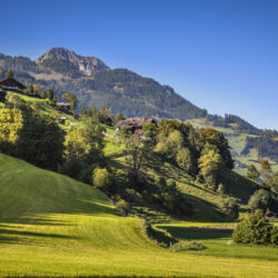 20230906_ChaletGretchenruheAussen_019