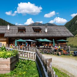 Auf der Alm …