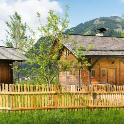 Almhütte in Großarl, Salzburger Land, für 2 – 6 Personen – Reitbauernhof