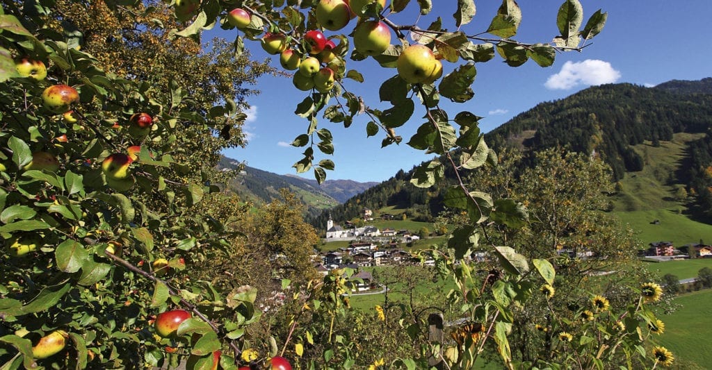 Reitbauernhof - Urlaub am Bauernhof in Großarl