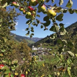 Reitbauernhof – Urlaub am Bauernhof in Großarl