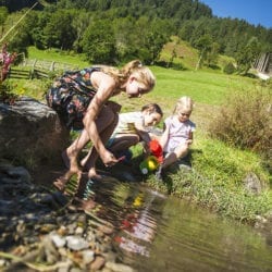 Erlebnis-Bauernhof Reitbauernhof in Großarl – Urlaub auf dem Bauernhof in Österreich