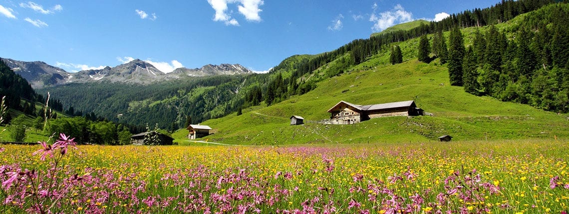 Hofeigene Almhütte in Großarl, Hubgrundalm im Tal der Almen, Salzburger Land