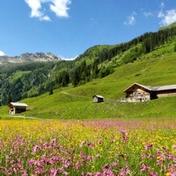 Hofeigene Almhütte in Großarl, Hubgrundalm im Tal der Almen, Salzburger Land