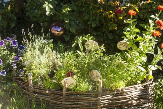 Kräuterbeet am Reitbauernhof, Großarl, Salzburger Land – Urlaub am Bauernhof in Österreich