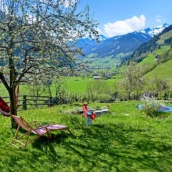 Urlaub am Bauernhof in Großarl, Reitbauernhof