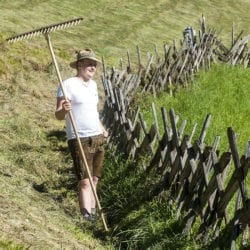 Urlaub am Bauernhof – Reitbauernhof in Großarl