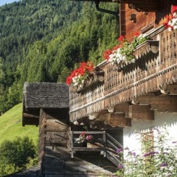 Urlaub am Bauernhof – Reitbauernhof in Großarl