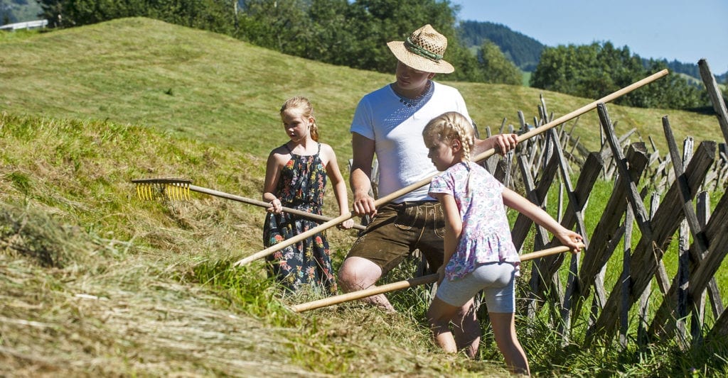 Erlebnis-Bauernhof in Großarl, Salzburger Land
