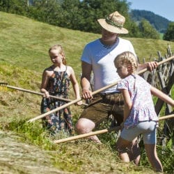 Erlebnis-Bauernhof in Großarl, Salzburger Land