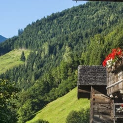 Sommerurlaub & Wanderurlaub in Großarl, Salzburger Land – Urlaub am Bauernhof Reitbauer