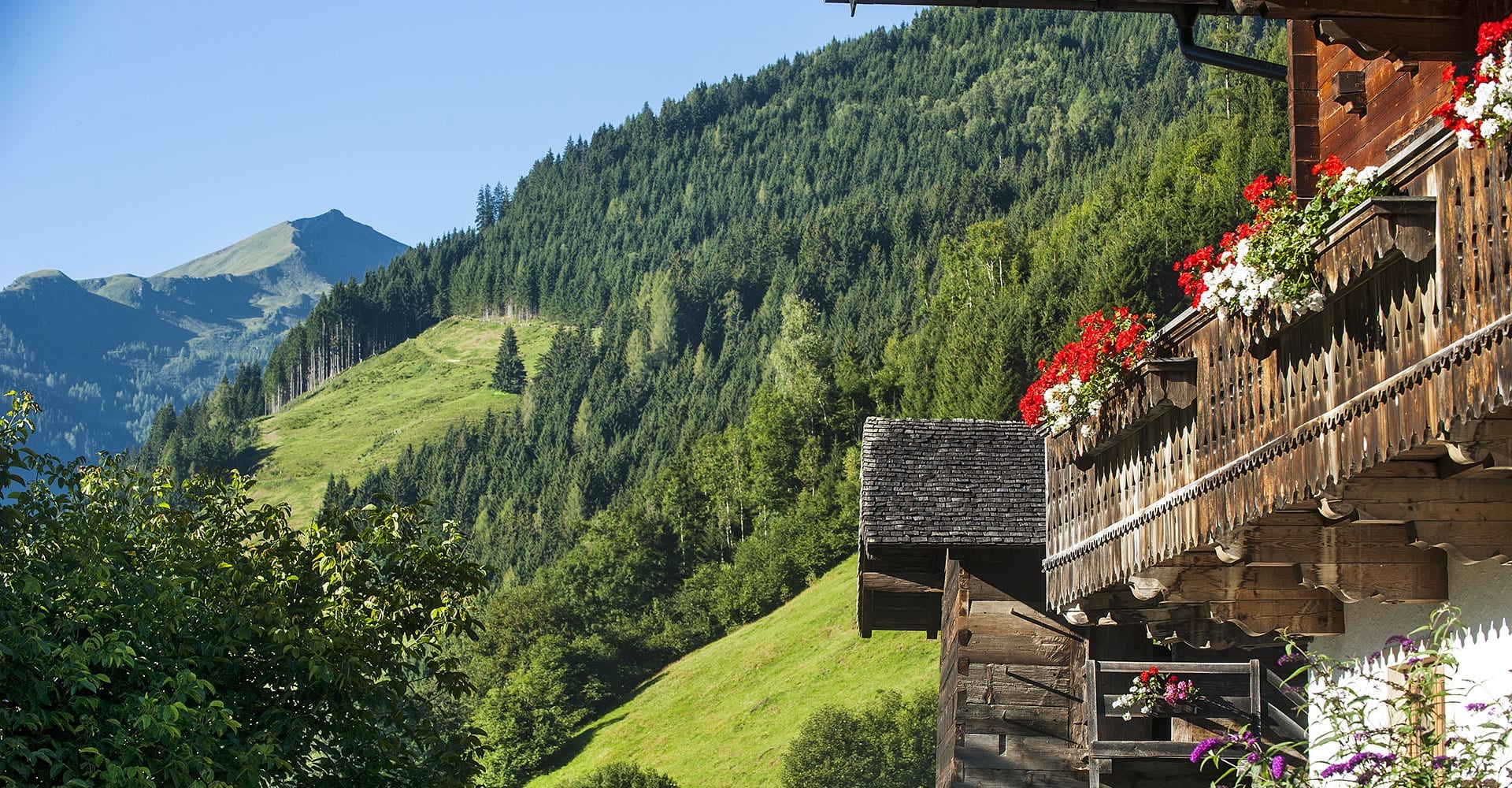 Sommerurlaub & Wanderurlaub in Großarl, Salzburger Land – Urlaub am Bauernhof Reitbauer