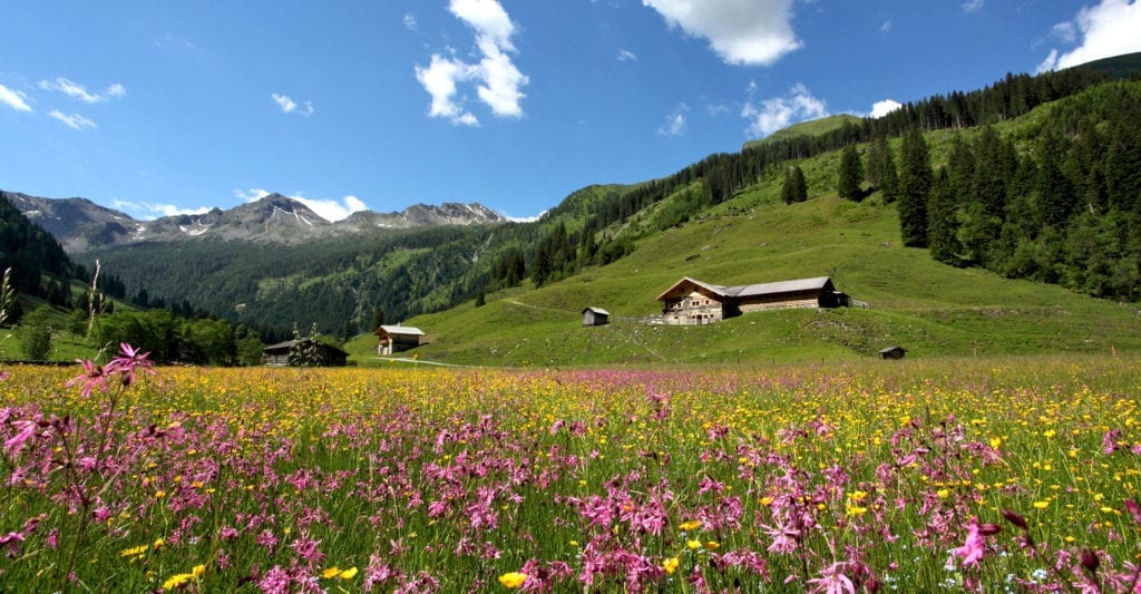 Urlaubsinfo - Urlaub am Bauernhof in Großarl