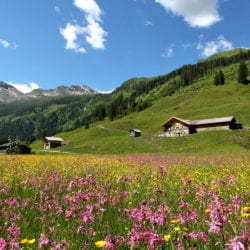 Urlaubsinfo – Urlaub am Bauernhof in Großarl