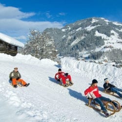 Winter- & Skiurlaub am Erlebnis-Bauernhof Reitbauer in Großarl, Ski amadé