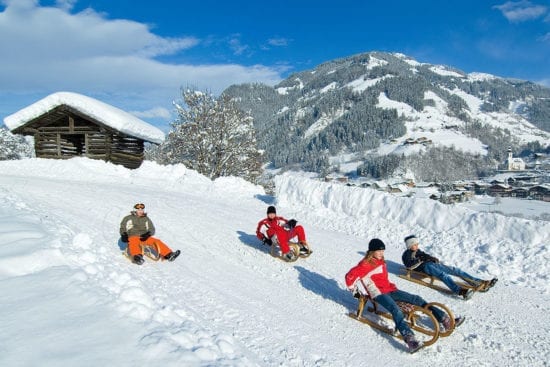 Winter- & Skiurlaub am Erlebnis-Bauernhof Reitbauer in Großarl, Ski amadé