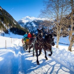 Winterurlaub & Skiurlaub in Großarl – Ski amadé – Reitbauernhof – Pferdeschlittenfahrten