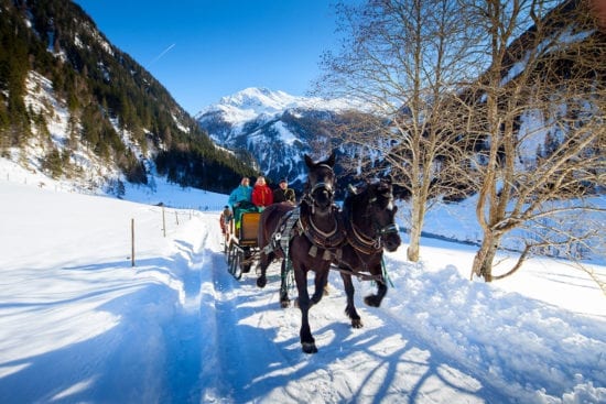 Winterurlaub & Skiurlaub in Großarl - Ski amadé - Reitbauernhof - Pferdeschlittenfahrten