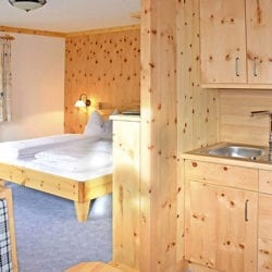 Zimmer & Ferienwohnungen in Großarl, Salzburger Land, Ski amadé – Reitbauernhof