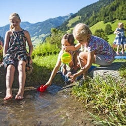 Erlebnis-Bauernhof in Großarl, Salzburger Land
