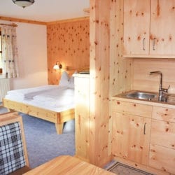 Zimmer & Ferienwohnungen in Großarl, Salzburger Land, Ski amadé – Reitbauernhof